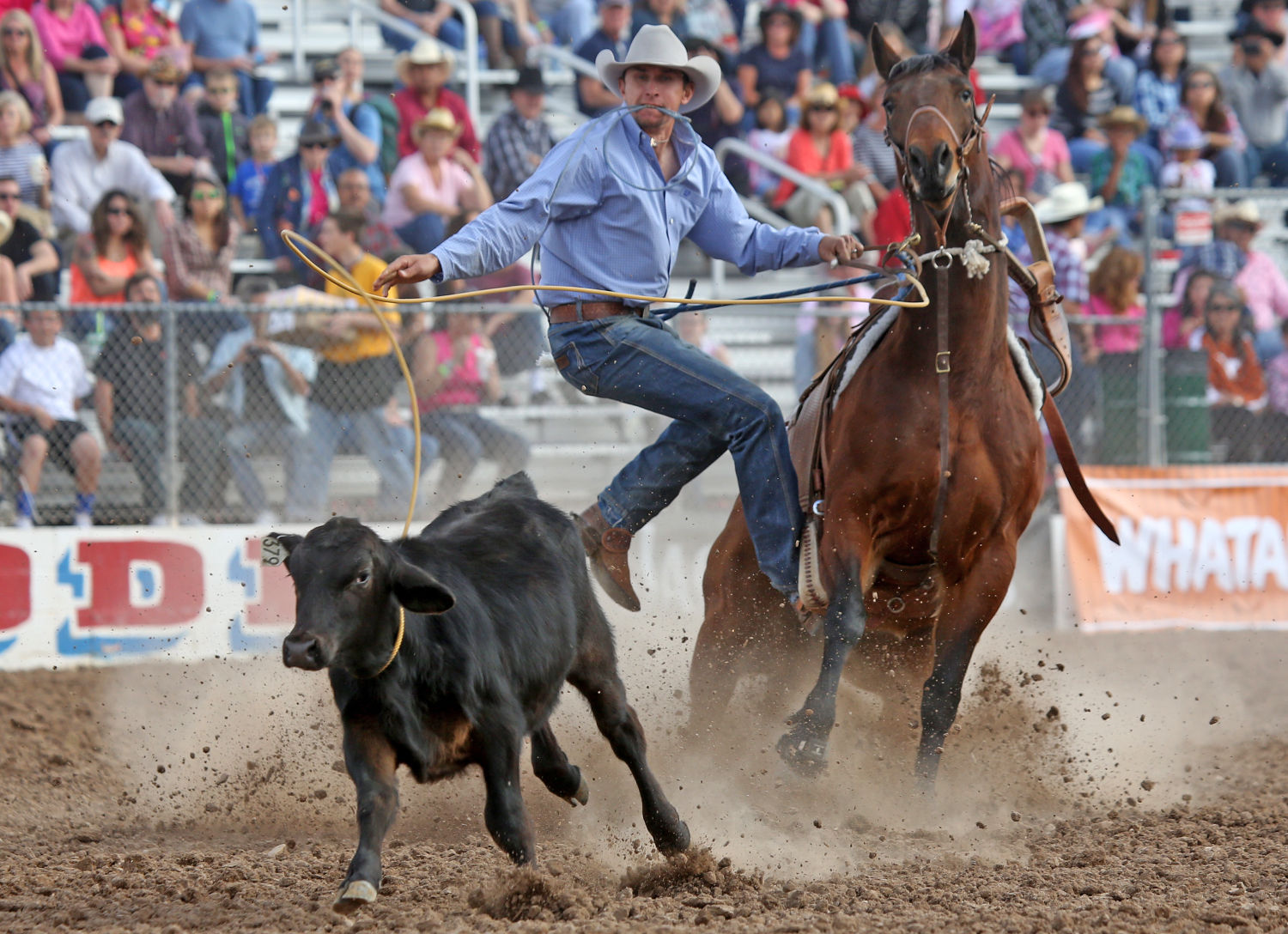 La Fiesta de los Vaqueros